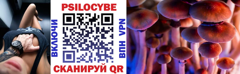 Псилоцибиновые грибы Psilocybine cubensis  Верхняя Тура 